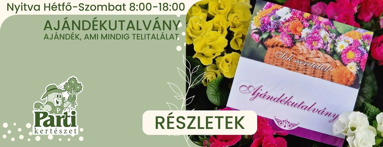 Ajándékutalvány