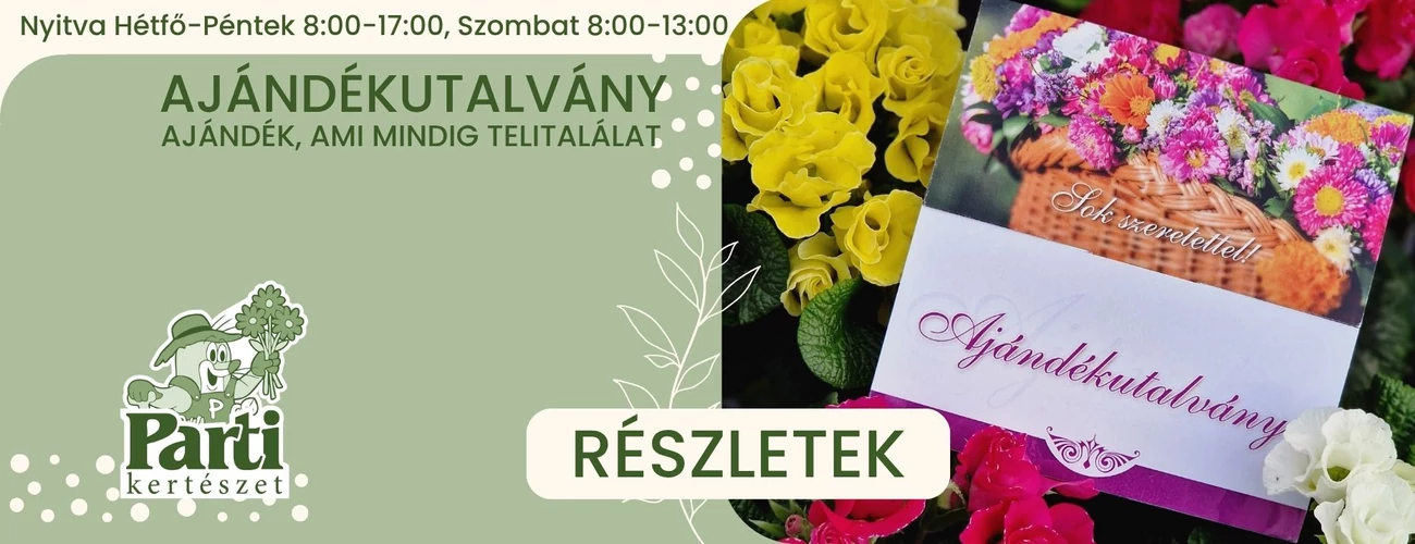 Ajándékutalvány