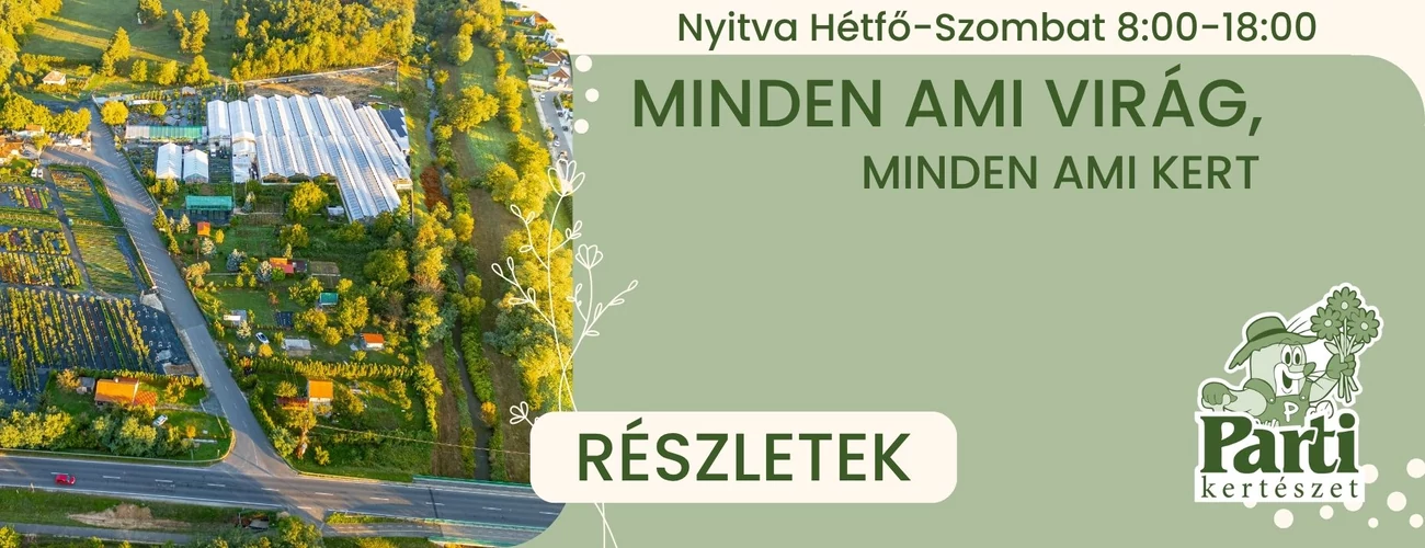 Szlogen