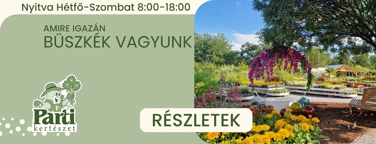 nyár