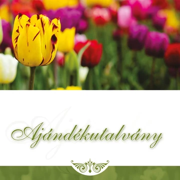 Ajándékutalvány  - tulipános - választható értékben