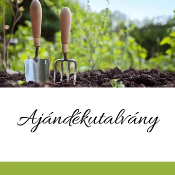 Ajándékutalvány  - ültetős - választható értékben