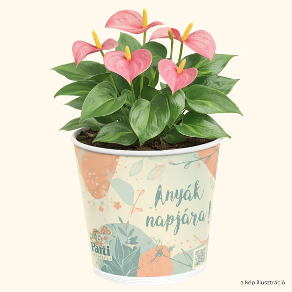 Partis kaspó - Anyák Napjára! (kékes)