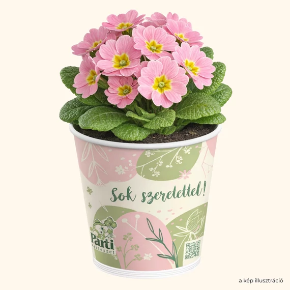 Partis kaspó - Sok szeretettel! (zöldes)