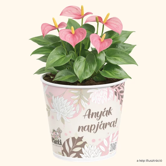 Partis kaspó - Anyák Napjára! (rózsaszínes)