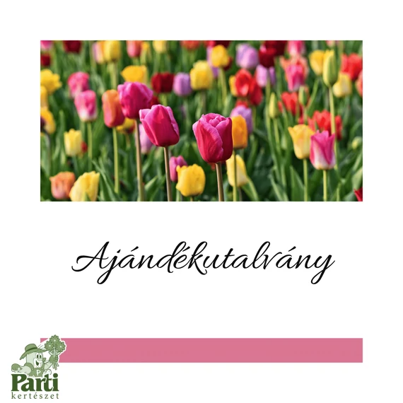 Ajándékutalvány  - tulipános - választható értékben